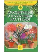 Картинка к книге Е.К. Беляевская - Луковичные и клубневые растения