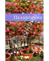 Картинка к книге А.В. Широкова - Пеларгонии
