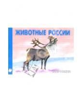 Картинка к книге Восток - Животные Севера России. Раскраска (М-006)