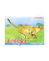 Картинка к книге Восток - Животные Африки. Раскраска (М-013)