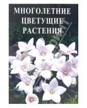 Картинка к книге Л. Скоромная - Многолетние цветущие растения