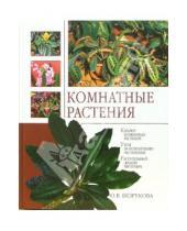 Картинка к книге Ольга Безрукова - Комнатные растения