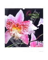 Картинка к книге Кристина - Календарь: Орхидеи 2007 год