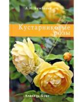 Картинка к книге Л.И. Бумбеева - Кустарниковые розы