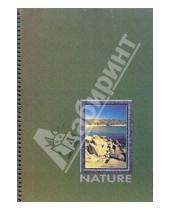 Картинка к книге Бумизделия - Тетрадь А4 80 листов  Природа (07227)