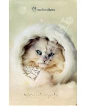 Картинка к книге Канцелярские товары - Notebook А5 112 листов Кот в белом (3359)