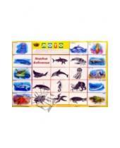 Картинка к книге Лото. Окружающий мир - Лото: Морские животные (350х500)
