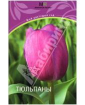 Картинка к книге Мой цветущий сад - Тюльпаны