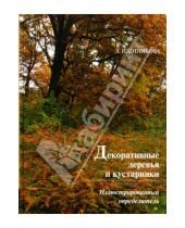 Картинка к книге Суреновна Лилиан Плотникова - Декоративные деревья и кустарники