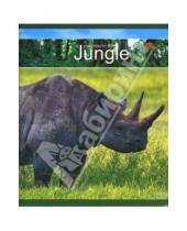 Картинка к книге Бумизделия - Тетрадь А5 48л 07294 Африканские животные