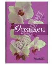 Картинка к книге Михайлович Александр Зайцев - Орхидеи