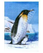 Картинка к книге Развивающая мозаика - Развивающие рамки. Живая природа. Пингвин