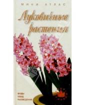 Картинка к книге Ольга Жакова - Луковичные растения