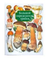 Картинка к книге Викторович Александр Юдин - Большой определитель грибов
