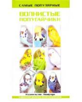 Картинка к книге Тео Винс - Самые популярные волнистые попугайчики