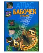 Картинка к книге Карл Ламперт - Атлас бабочек и гусениц. Места обитания. Физические характеристики. Поведение. Размножение