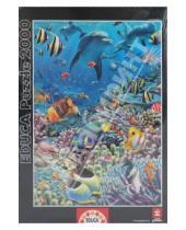 Картинка к книге Пазлы 2000 деталей - Пазл-2000  Морская жизнь (12451)
