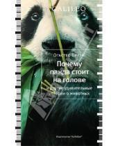 Картинка к книге Огастес Браун - Почему панда стоит на голове