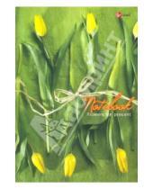 Картинка к книге Эксмо-Канц - Книга для записей 130 листов "Очаровательные тюльпаны" (КЗ04128845)