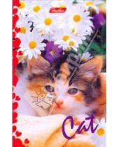 Картинка к книге Хатбер - Блокнот 48 листов "Котята" (48Б7С1 04136)
