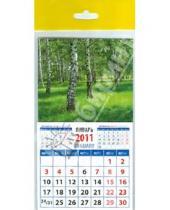 Картинка к книге Календарь на магните  94х167 - Календарь 2011 "Пейзаж с березами" (20117)