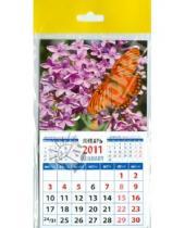 Картинка к книге Календарь на магните  94х167 - Календарь 2011 "Бабочка на сирени" (20119)
