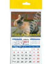 Картинка к книге Календарь на магните  94х167 - Календарь 2011 "Кролик на фоне стены" (20128)