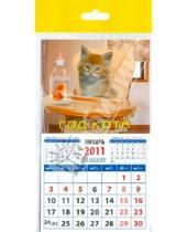 Картинка к книге Календарь на магните  94х167 - Календарь 2011 "Котенок с золотыми рыбками" (20133)