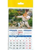 Картинка к книге Календарь на магните  94х167 - Календарь 2011 "Кролик каратист" (20140)