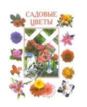 Картинка к книге Ольга Жакова - Садовые цветы