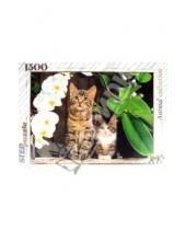 Картинка к книге Animal collection - Step Puzzle-1500 "Котята и орхидея" (83040)