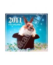 Картинка к книге Газетный Мир - Календарь 2011. "Год кролика"