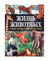 Картинка к книге Джойс Поуп - Жизнь животных в ярких картинках и интересных фактах