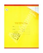 Картинка к книге Тетради - Тетрадь 18 листов, линейка, однотонная (ассортимент) (ТПЛ183291)