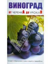 Картинка к книге От черенка до урожая - Виноград