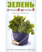 Картинка к книге От посева до урожая - Зелень