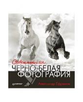 Картинка к книге Александр Ефремов - Современная черно-белая фотография