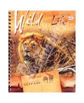 Картинка к книге Эксмо-Канц - Тетрадь 96 листов, клетка "Wild Life" (ТС963307)