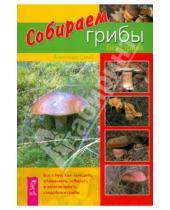 Картинка к книге Александр Шваб - Собираем грибы без страха. Все о том, как находить, определять, собирать и заготавливать грибы