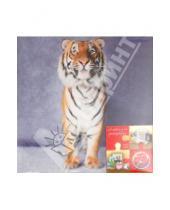 Картинка к книге Pioneer - Фотоальбом на 200 фотографий "Tiger" (LM-4R200CPPM)