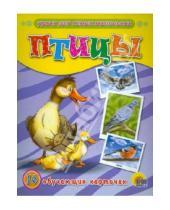 Картинка к книге Обучающие карточки - Обучающие карточки. Птицы