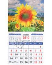 Картинка к книге Календарь на магните  94х167 - Календарь на 2012 год. "Пейзаж с подсолнухами" (20219)