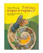 Картинка к книге Анне Меллер - Гнезда, норы и горшки. Как насекомые заботятся о потомстве