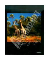 Картинка к книге Премьера - Тетрадь 60 листов, клетка "Животные Африки" (35898)