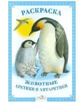 Картинка к книге Белый проект (БП) - Раскраска. Животные Арктики и Антарктики.