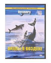 Картинка к книге Джеф Курр - Акулы в воздухе. Региональное издание(DVD)