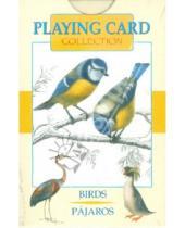 Картинка к книге Карты игральные - Игральные карты "Птицы"