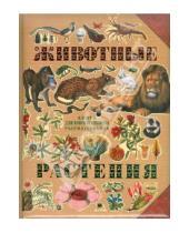 Картинка к книге Мир энциклопедий - Животные. Растения