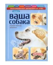 Картинка к книге Георгиевич Георгий Галанин - Ваша собака