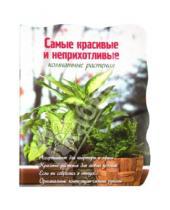 Картинка к книге Александровна Екатерина Волкова - Самые красивые и неприхотливые комнатные растения